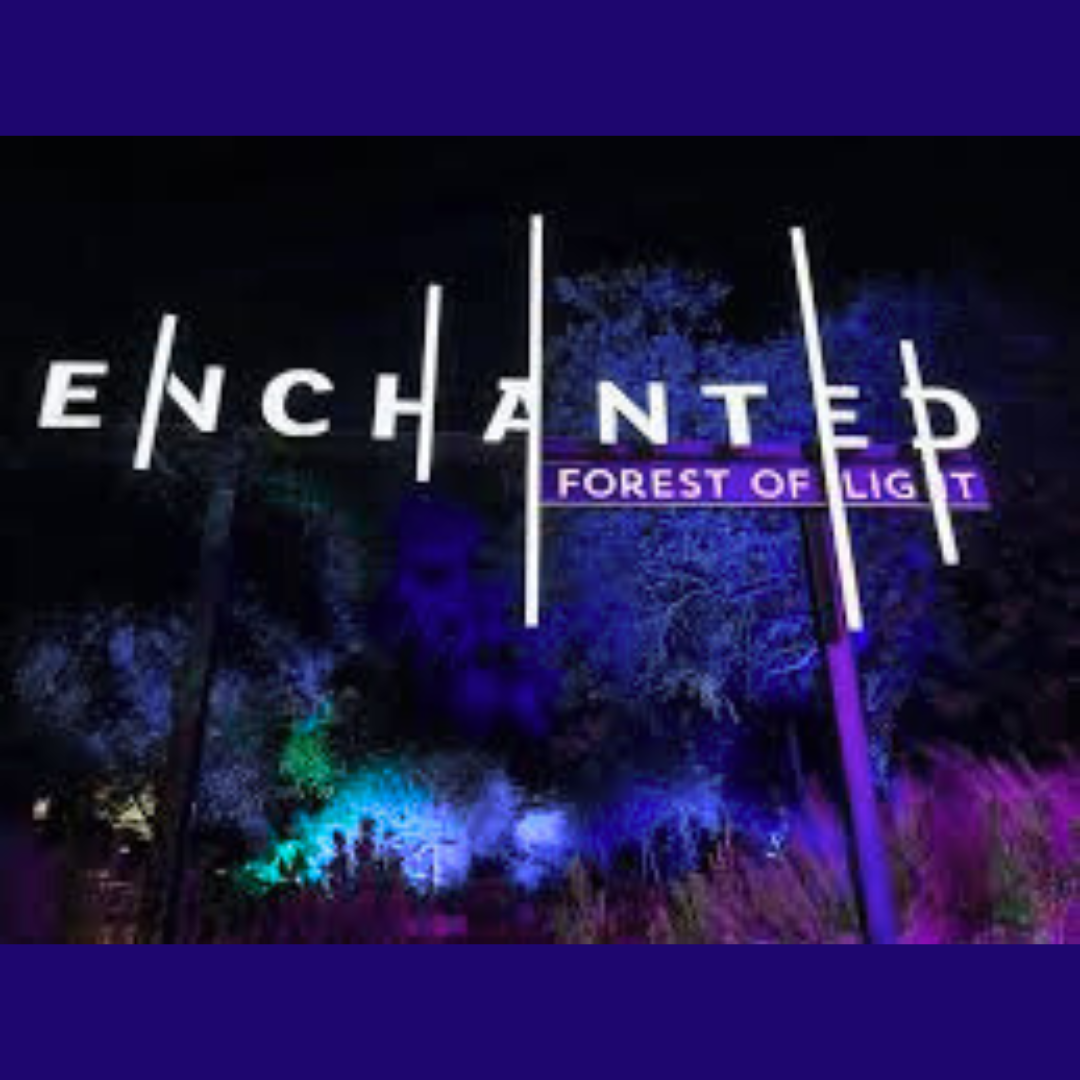 Descanso Gardens Enchanted Forest of Lights - Sinai Seniors
